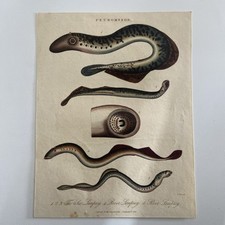 Antique 1826 hand for sale  LONDON