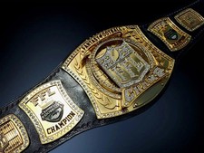 Fantasy football champion for sale  READING