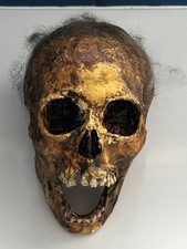 Horror skull stage for sale  LETCHWORTH GARDEN CITY