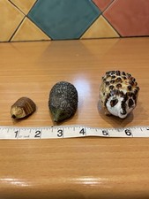 Different hedgehogs studio for sale  RICKMANSWORTH