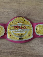 Tna championship kids for sale  STAMFORD