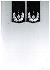 Bundeswehr dienstgrad berstabs gebraucht kaufen Bundeswehr dienstgrad berstabs gebraucht kaufen  Pechbrunn