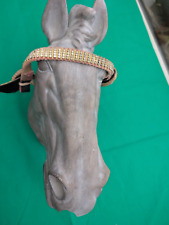 Brown band horse for sale  CLACTON-ON-SEA