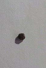 Meteorite micro non usato  Levico Terme
