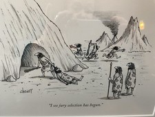 yorker prints for sale yorker prints for sale Newtown Square