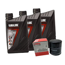 Kit tagliando 3lt usato  Cerignola