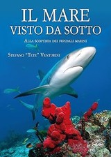 Mare visto sotto. usato  Vejano