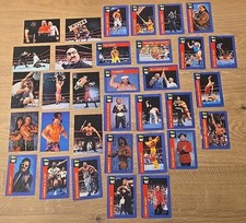 Vintage wwf wwe for sale  HUNTINGDON