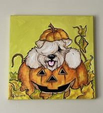 soft coated wheaten terriers for sale  HINDHEAD