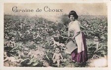 Cabbage seed woman d'occasion  Expédié en Belgium