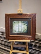 Green forest lovely for sale  SHIPLEY