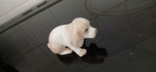 Porcelain beagle puppy for sale Porcelain beagle puppy for sale  HIGHBRIDGE