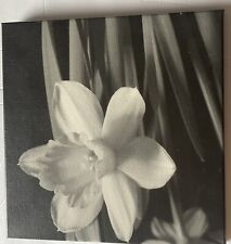 Pinturas artísticas de pared de lona con flores en blanco y negro estampados fotográficos para decoración del hogar segunda mano  Embacar hacia Mexico