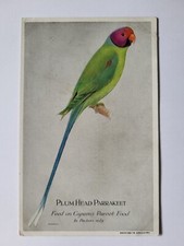 Capern cage bird for sale  ROCHFORD