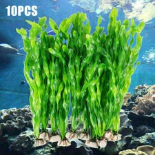 10pcs plantes aquarium d'occasion  France