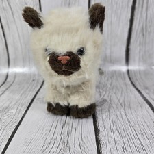 American girl himalayan for sale  Houston