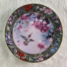 Anna hummingbird mini for sale  Vergas