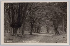 Cobham woods surrey for sale  GLASGOW
