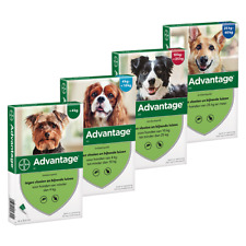 ADVANTAGE¹ chien dog protection externe flea 1-40 kg XS-S-M-L-XL (4 spot on) comprar usado  Enviando para Brazil