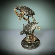 Large sea turtle for sale  Fayetteville