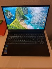 Gaming laptop hyrican gebraucht kaufen  Leipzig