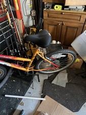 Boy bikes for sale  Lutz