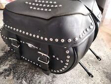 Coppia borse harley usato  Cordignano