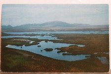 katahdin for sale katahdin for sale Wilmington