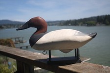 Canvasback drake decoy for sale  Lincoln City