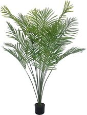 Softflame 5ft areca for sale  San Francisco