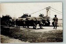 39153230 charleville tiergespa gebraucht kaufen  Eimeldingen