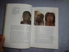 Hardcover - Sapiens : A Brief History of Humankind by Yuval Noah Harari 2015 comprar usado  Enviando para Brazil