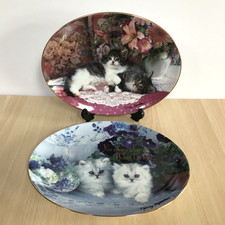 Kitsch kittens cats for sale Kitsch kittens cats for sale  GUILDFORD