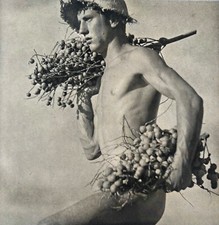 Male nude 1942 for sale  LONDON