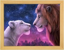 Mishbay diamond painting gebraucht kaufen  Berlin
