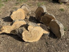 Fette tronchi ulivo usato  Rodi Garganico