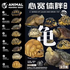 Animal planet tortoise d'occasion  Expédié en Belgium
