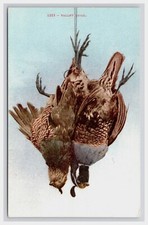 Postcard pair valley for sale  Oregon