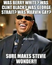 Stevie wonder funny for sale  Mamou