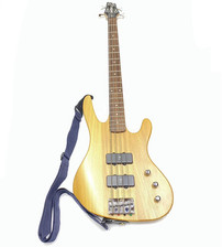 Washburn pro 122 for sale  Campbellsport