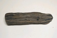 Driftwood piece display for sale  TAUNTON