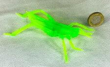 Insect bug animal for sale  BLACKPOOL