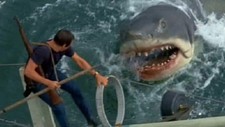 Jaws official trailer for sale  USA