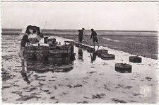 Bassin arcachon france usato  Italia