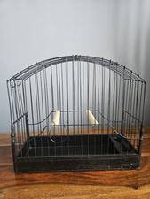 Fife boarder canary for sale  CHICHESTER