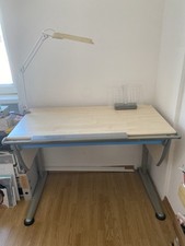 Moll schreibtisch runner gebraucht kaufen  Essen
