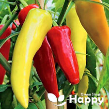 Chilli seeds horn for sale  DONCASTER