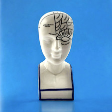 Medical phrenology head d'occasion  Expédié en Belgium