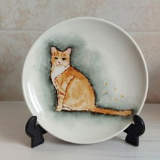 Dudson ginger cat for sale  KETTERING