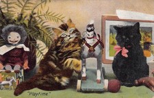 Cats kittens playtime for sale  MUSSELBURGH